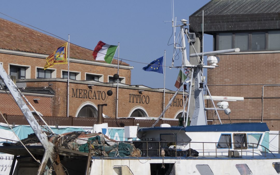 The seafood market