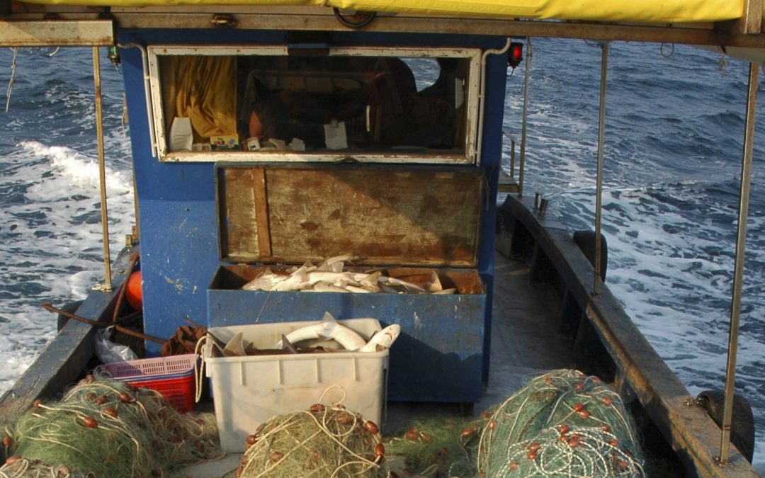 Fishing tools and cooperatives